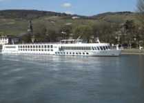 Aurelia