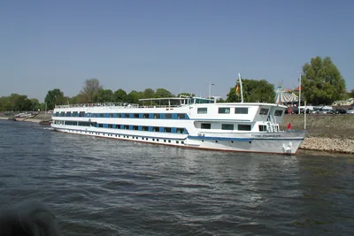 Flusskreuzfahrtschiff Rhine Princess am Ufer